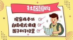 社區(qū)團購平團排名是什么